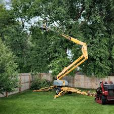 Seasonal Cleanup (Spring/Fall) in Windermere, FL